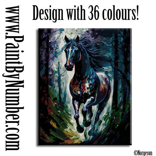 Black stallion