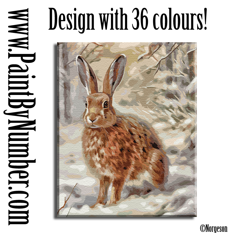 Little hare