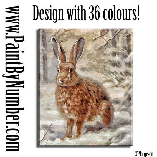 Little hare