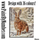 Little hare