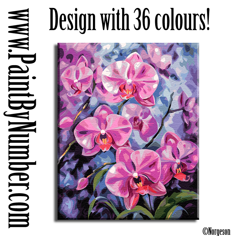 Pink orchids