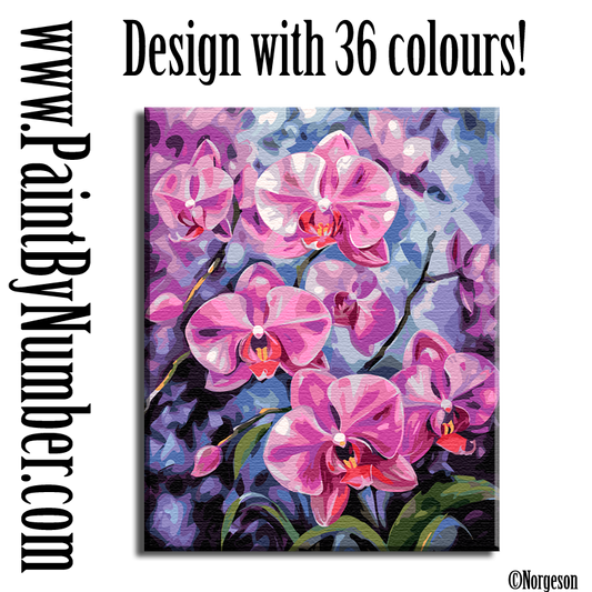 Pink orchids