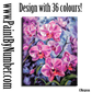 Pink orchids