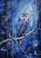 Night owl