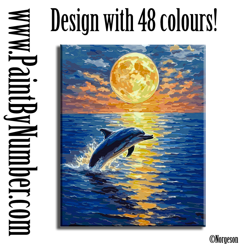 The dolphin and the moon