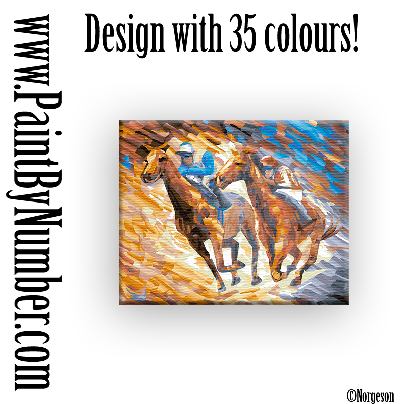 The Race