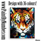 Tiger Portrait