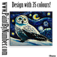 Queen of the starry night