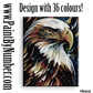 Majestic bald eagle