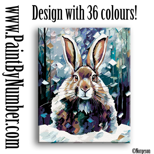 Little hare