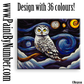 Queen of the starry night 2