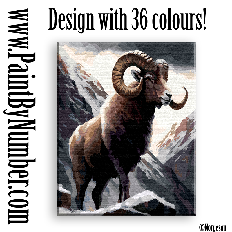 Bighorn sheep