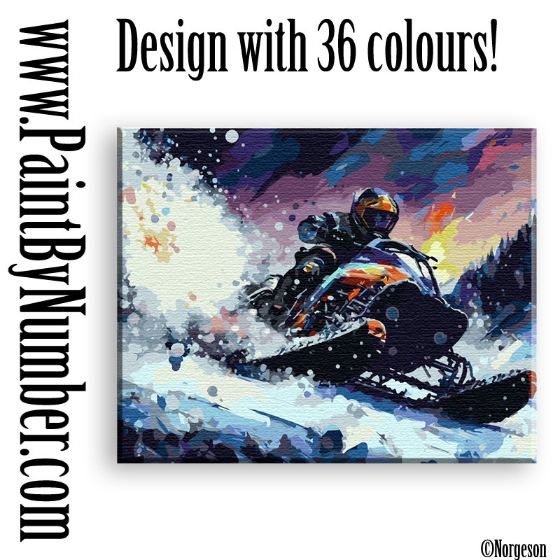 Snowmobile 2