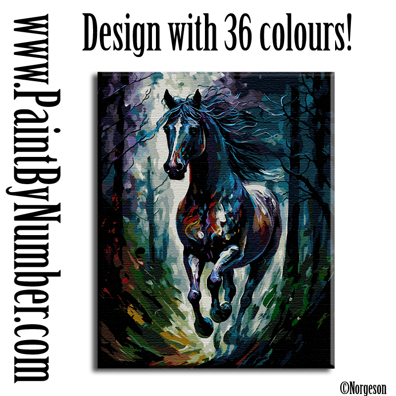 Black stallion