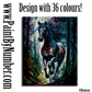 Black stallion