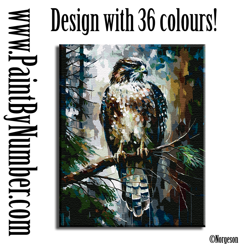 The falcon