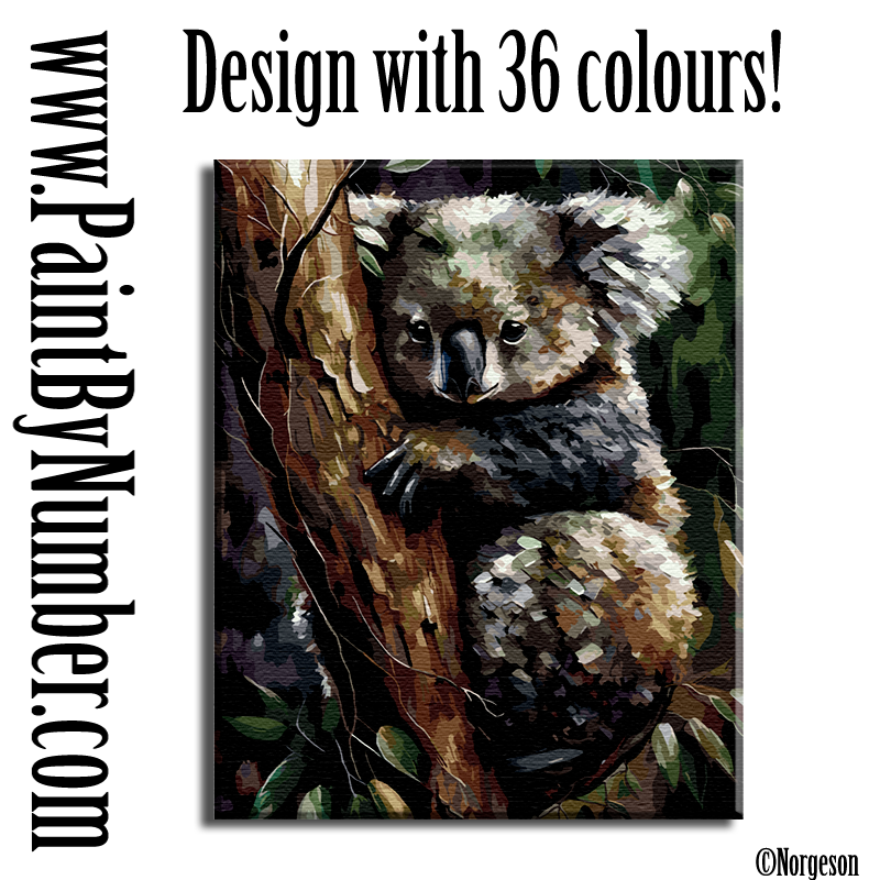 Cute koala