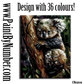 Cute koala