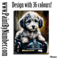 Doodle drive